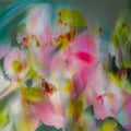 Daisy 5