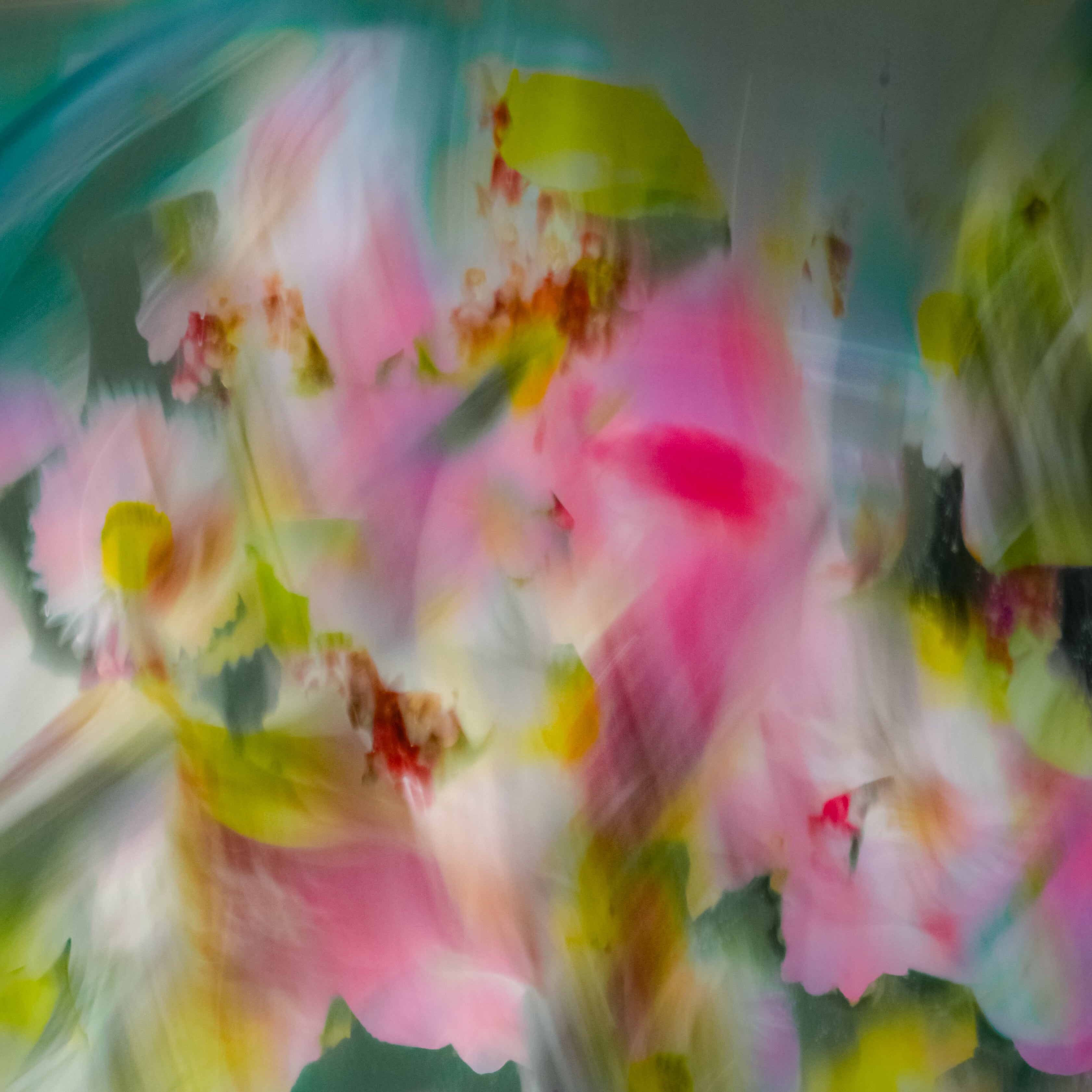 Daisy 5